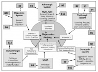这个维生素缺乏，与抑郁症紧密相关