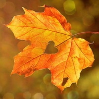 #唤美计划# 这样淡斑最快了...@健康生活秘籍的动态