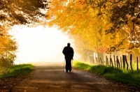 生活环境有可能是长寿的关键？