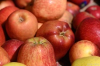 苹果的功效与作用：健康生活的得力助手