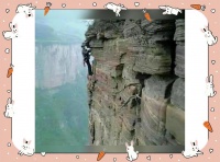 崖柏熏香：健康生活的自然选择