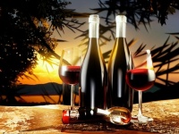 享受健康生活，探索红酒之道：如何科学饮用红酒，拥抱健康生活