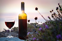 健康生活：红酒对健康的影响及适量饮用原则！