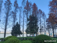 全民健康时代：如何让健康意识成为你生活的重要组成部分？