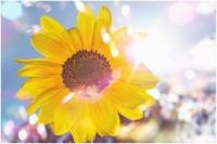 健康生活方式宣传口号