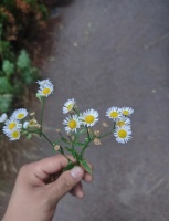 健康生活，美丽加分！✨