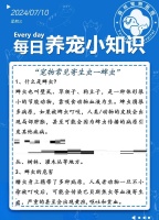 新年必备：猫咪健康生活指南