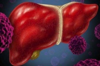 为了健康的生活勿忘养肝护肝，如何养肝好呢？看这里