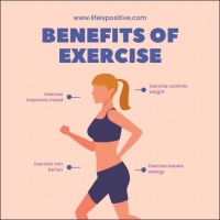 如何快乐、健康：美好生活的秘诀