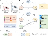 Nature Mental Health: 大脑、生活方式与环境路径：关联身心健康的多模态研究