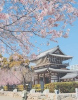 8种健康生活方式，让生活更美好