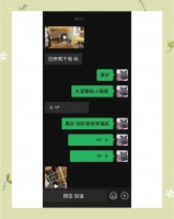 如何挑选健康的猫咪?7个步骤教你搞定