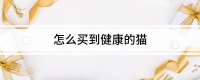 怎么买到健康的猫
