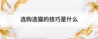 选购选猫的技巧是什么