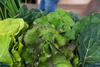 怎样烹饪蔬菜不损失营养？你知道日常生活中该怎么做吗？