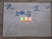 健康与生活手抄报设计