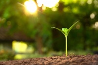 如何制定健康守护成长计划，让你的生活更加健康