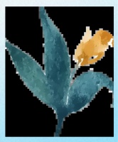 健康体重，美好生活——成人体重管理科学建议概览