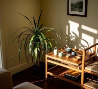 家居风水与养生：打造健康和谐的生活空间