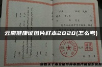 云南健康证图片样本2020(怎么考)