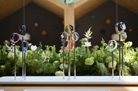 十年之间 腕上的Apple Watch如何改变更多人的生活方式？