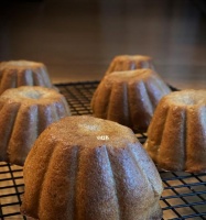 天然酵种，健康美味从这里开始（打造自然、营养、美味的健康生活）