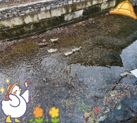 方至养生：性生活的健康与和谐