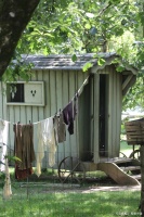 从身体到心灵：健康生活的全方位解锁