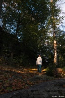 《健康生活，心灵护航：身心共养，抵御岁月侵蚀》