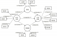 社會支持對老年群體生存質量的影響：希望與孤獨感的中介作用