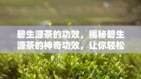 碧生源茶的功效，揭秘碧生源茶的神奇功效，让你轻松享受健生活！