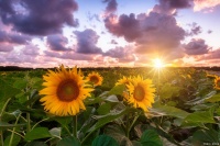 打造健康生活，从日常小习惯做起，做健康第一人