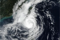 低脂美味减脂沙拉，轻松享受健康生活