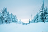 健康生活的饮食原则