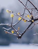 天津康婷指南：冬季穿衣、饮食、生活多方位保暖