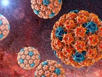 ‘’本周热点‘’感染hpv之后哪些生活习惯可以提高免疫力，加速hpv的康复？‘’热点展现‘’北京华坛医院治疗hpv贵不贵？