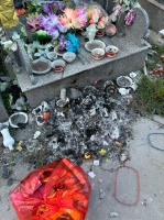 活力备孕，生活小习惯大改变