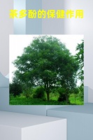 茶多酚的保健作用 茶多酚...@墨墨的云南生活的动态