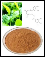 茶多酚：抗氧化、减肥、提升免疫力，健康生活从一杯茶开始