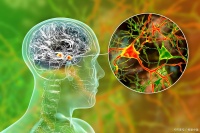 如何提高脑力？这5个生活习惯帮助你保持大脑健康