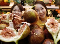 龙功果：热带珍品，健康生活的绿色引擎