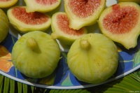 无花果：营养丰富的水果，健康生活的佳品