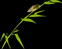 健康体重，健康生活：国家卫健委倡导全民减重