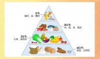 健康生活的四个基石：饮食、作息、运动和心态