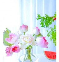 娱乐与自律：健康生活的平衡之道