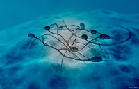 夫妻生活只有技巧还不够？这些常见的性健康问题，早知道早解决