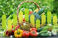 拥抱健康生活，唐佰狮引领有机食品新风尚