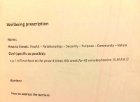 从健康到幸福：探讨理想生活的多维度路径