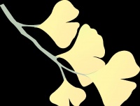 「全民健身指南」科学有效的运动计划，让你的健康生活触手可及