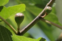 保持身心健康，享受生活之道